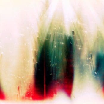 WAR ON DRUGS Future Weather