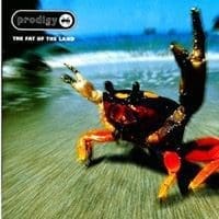 PRODIGY Fat Of The Land 2LP