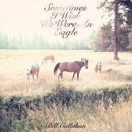 BILL CALLAHAN Sometimes I Wish We Were An Eagle