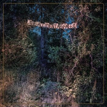 THE EYELIDS The Accidental Falls