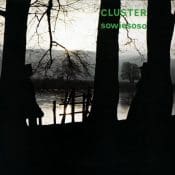 CLUSTER Sowiesoso