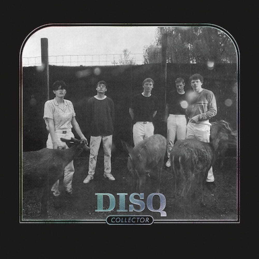 DISQ Collector