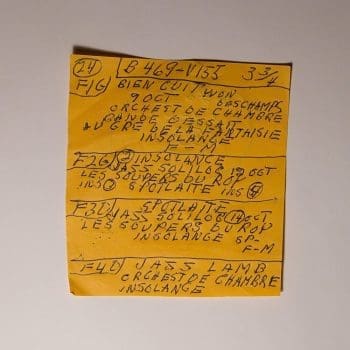 MAC DEMARCO Here Comes The Cowboy Demos