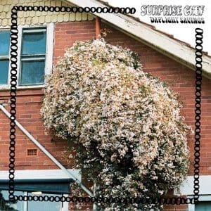 SURPRISE CHEF Daylight Savings