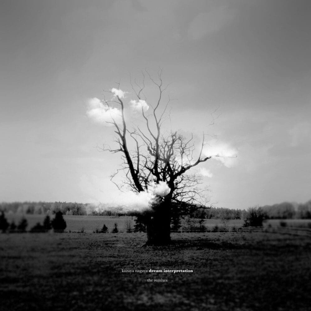 KAZUYA NAGAYA Dream Interpretation (The Remixes) (Marbled 3LP)