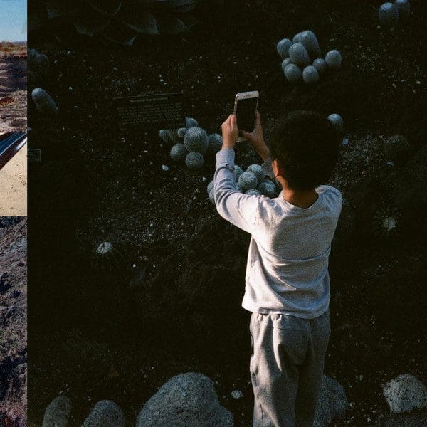 MEGA BOG Life, and Another CD