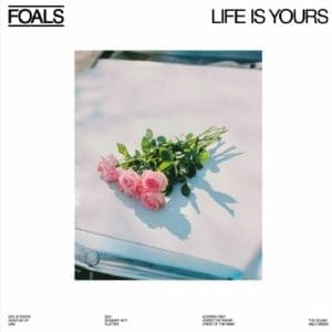FOALS Life Is Yours