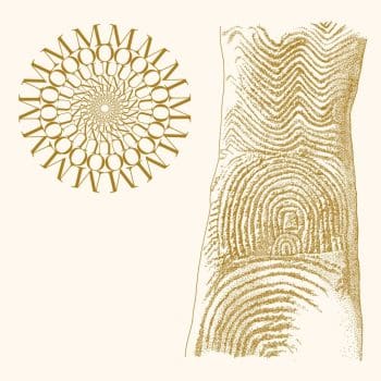 MOUNDABOUT Flowers Rot, Bring Me Stones