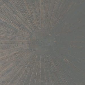 WILLIAM BASINSKI + LAWRENCE ENGLISH Selva Oscura (coloured)