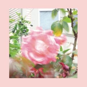 THE REDS PINKS AND PURPLES Summer at Land's End