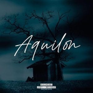 DEGIHEUGI Aquilon 2LP
