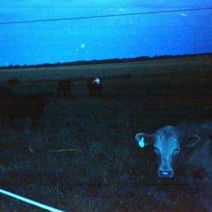 WAVEFORM* Antarctica