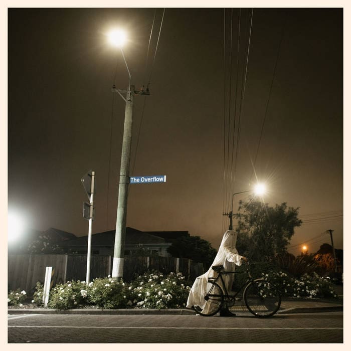 FRENCH FOR RABBITS The Overflow