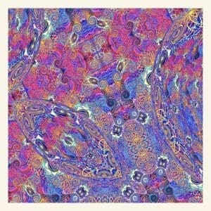 CARLOS NIÑO & FRIENDS Placenta 2LP