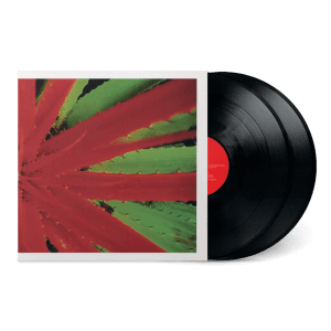 JEJEUNE This Afternoons Malady 2LP