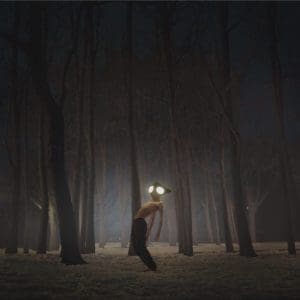 GEESE Projector CD preorder