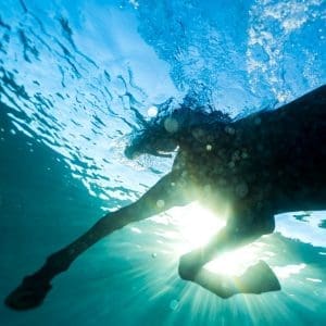 DREAM NAILS You Wish CD