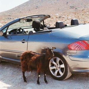 EXEK Prove The Mountains Move