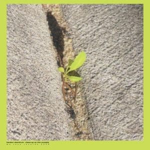 BOOKER STARDRUM Close-up On The Outside