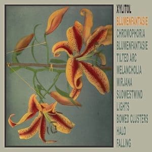 XYLITOL Blumenfantasie