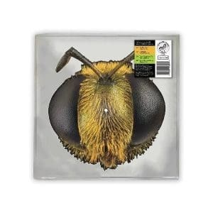 KING GIZZARD & THE LIZARD WIZARD Big Fig Wasp (Bee/Bug Shaped) (RSD 2026)