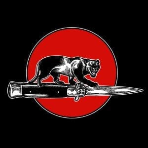 JIM JONES ALL STARS Cat Fight CD