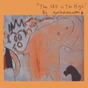 GRAHAM COXON The Sky Is Too High