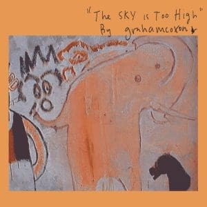 GRAHAM COXON The Sky Is Too High CD