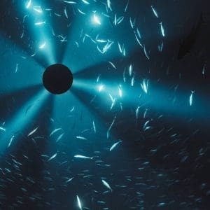 LAUREL HALO Midnight Zone (Original Soundtrack to the Film by Julian Charrière) CD
